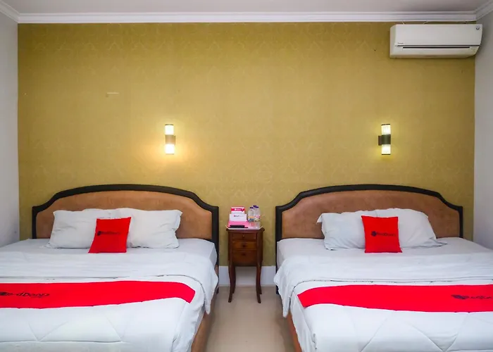 Reddoorz Plus Near Adisucipto Airport 2 Kalasan acceptant les animaux